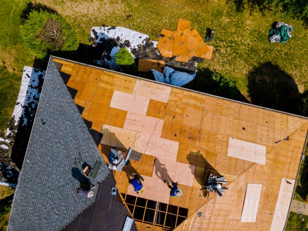Best Commercial Roofing Services  in Lake Orion, MI